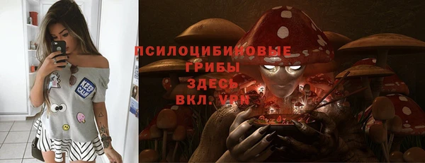 spice Алексин