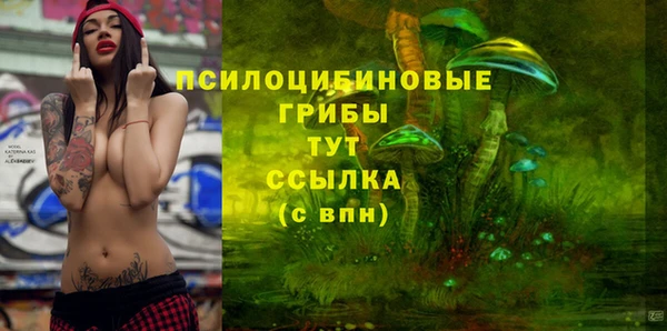 стафф Абинск