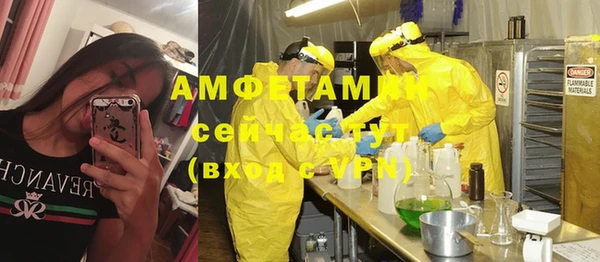 молекула духа Алзамай