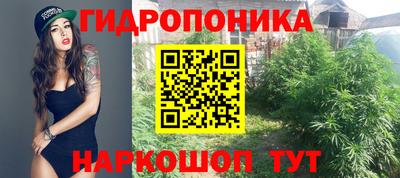 экстази Братск
