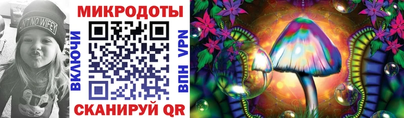 Псилоцибиновые грибы прущие грибы где продают наркотики Карасук