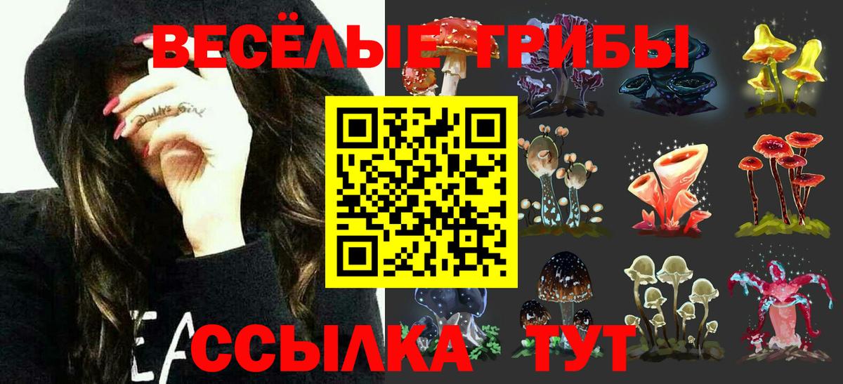 Псилоцибиновые грибы ЛСД  Вход с VPN  Псилоцибиновые грибы MAGIC MUSHROOMS  Карасук 