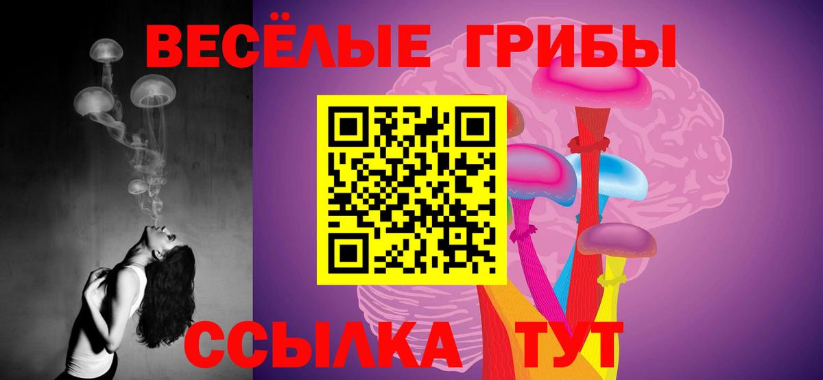 Псилоцибиновые грибы мицелий Карасук